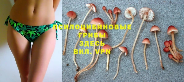 мяу мяу мука Балахна